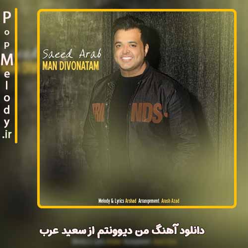 دانلود آهنگ سعید عرب من دیوونتم