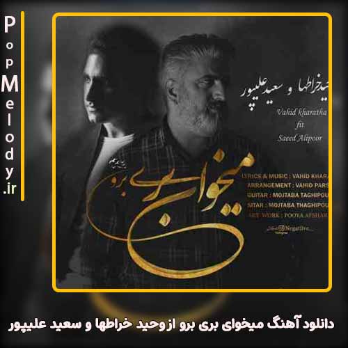 دانلود آهنگ وحید خراطها و سعید علیپور میخوای بری برو