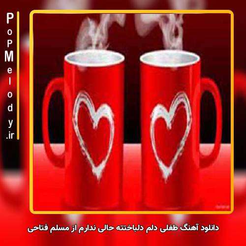 دانلود آهنگ مسلم فتاحی طفلی دلم دلباختته حالی ندارم