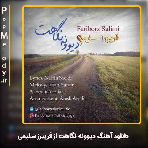 دانلود آهنگ فریبرز سلیمی دیوونه نگاهت