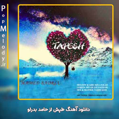 دانلود آهنگ حامد بدرلو طپش