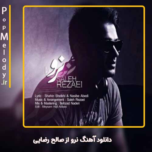 دانلود آهنگ صالح رضایی نرو
