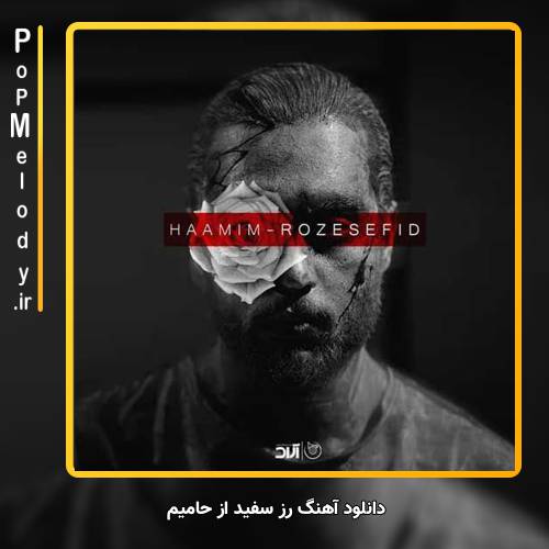 دانلود آهنگ حامیم نه میشه آسمونت شم نه میشه ماه من شی