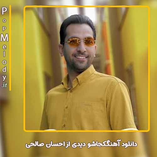 دانلود آهنگ احسان صالحی کجاشو دیدی