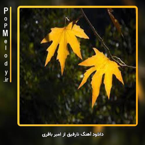 دانلود آهنگ امیر باقری نارفیق