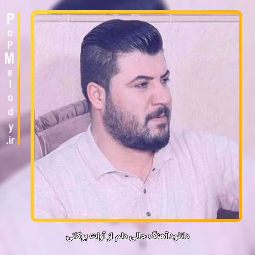دانلود آهنگ آوات بوکانی حالی دلم