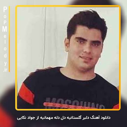 دانلود آهنگ جواد نکایی دلبر گلستانیه دل دله مهمانیه