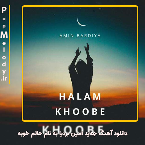 دانلود آهنگ امین بردیا حالم خوبه