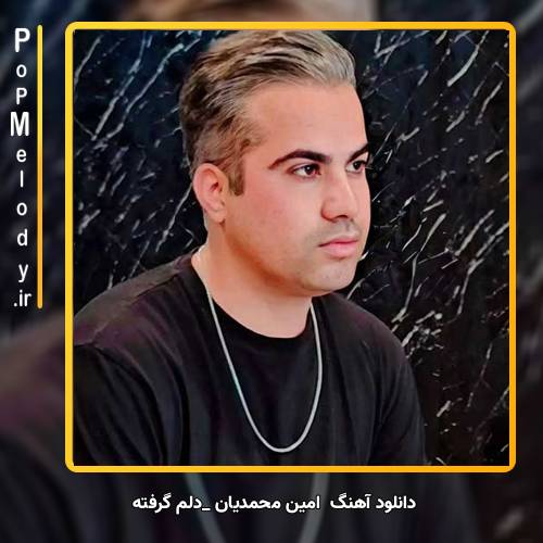 دانلود آهنگ امین محمدیان دلم گرفته