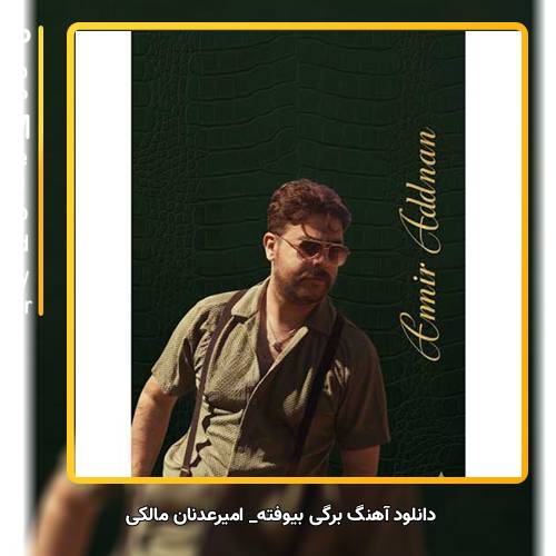 دانلود آهنگ امیرعدنان مالکی برگی بیوفته