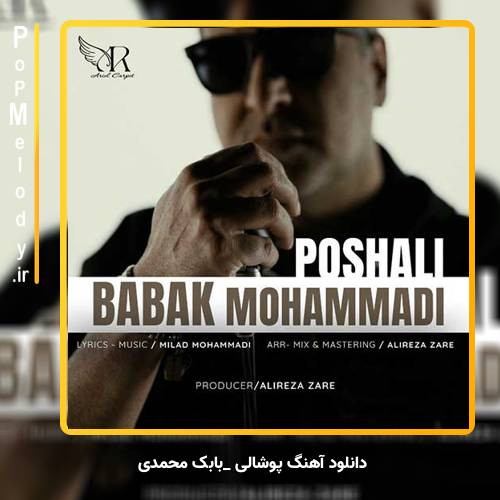 دانلود آهنگ بابک محمدی پوشالی