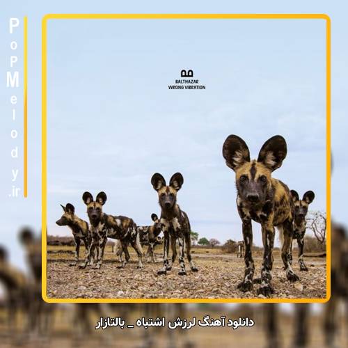 دانلود آهنگ بالتازار / Balthazar لرزش اشتباه / Wrong Vibration