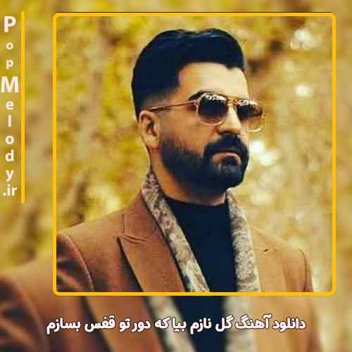 دانلود آهنگ بهنام خدری گل نازم بیا که دور تو قفس بسازم