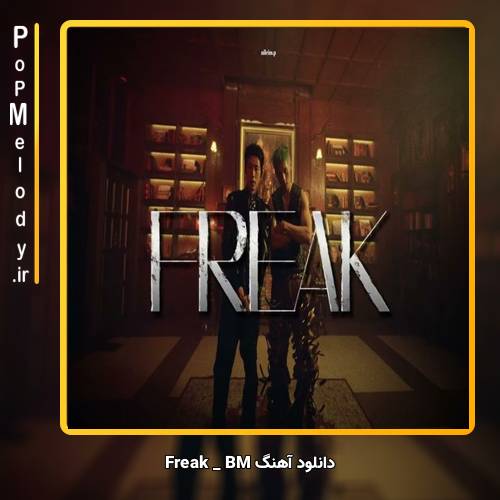 دانلود آهنگ BM Freak