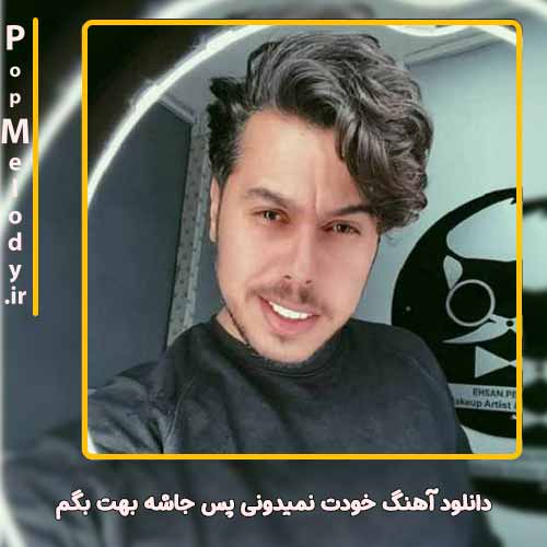 دانلود آهنگ دانوش خودت نمیدونی پس جاشه بهت بگم