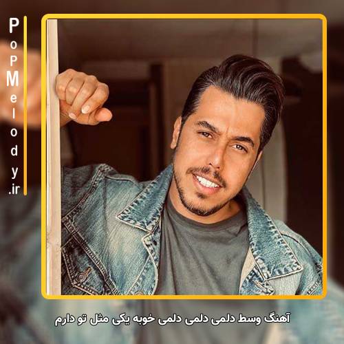 دانلود آهنگ دانوش وسط دلمی دلمی دلمی خوبه یکی مثل تو دارم