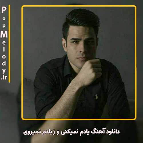 دانلود آهنگ ایوان بند یادم نمیکنی و ز یادم نمیروی