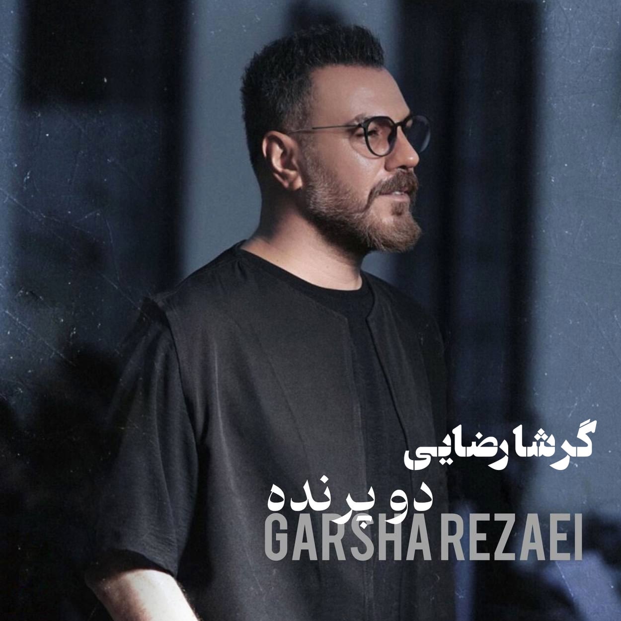 دانلود آهنگ گرشا رضایی دو پرنده