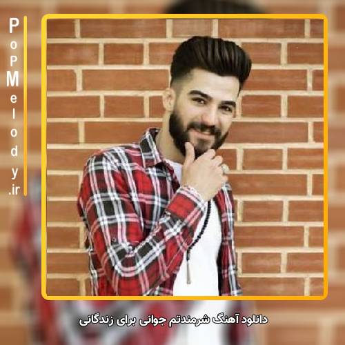 دانلود آهنگ حمیدرضا بابایی شرمندتم جوانی برای زندگانی