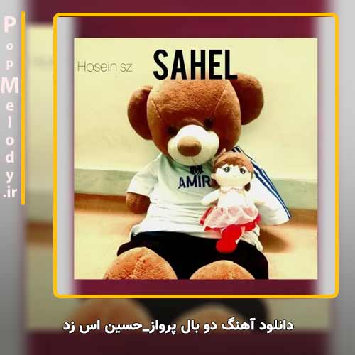 دانلود آهنگ حسین اس زد دو بال پرواز