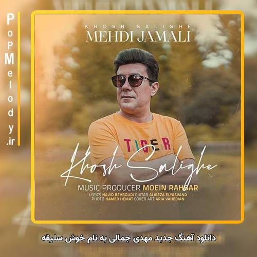 دانلود آهنگ مهدی جمالی خوش سلیقه