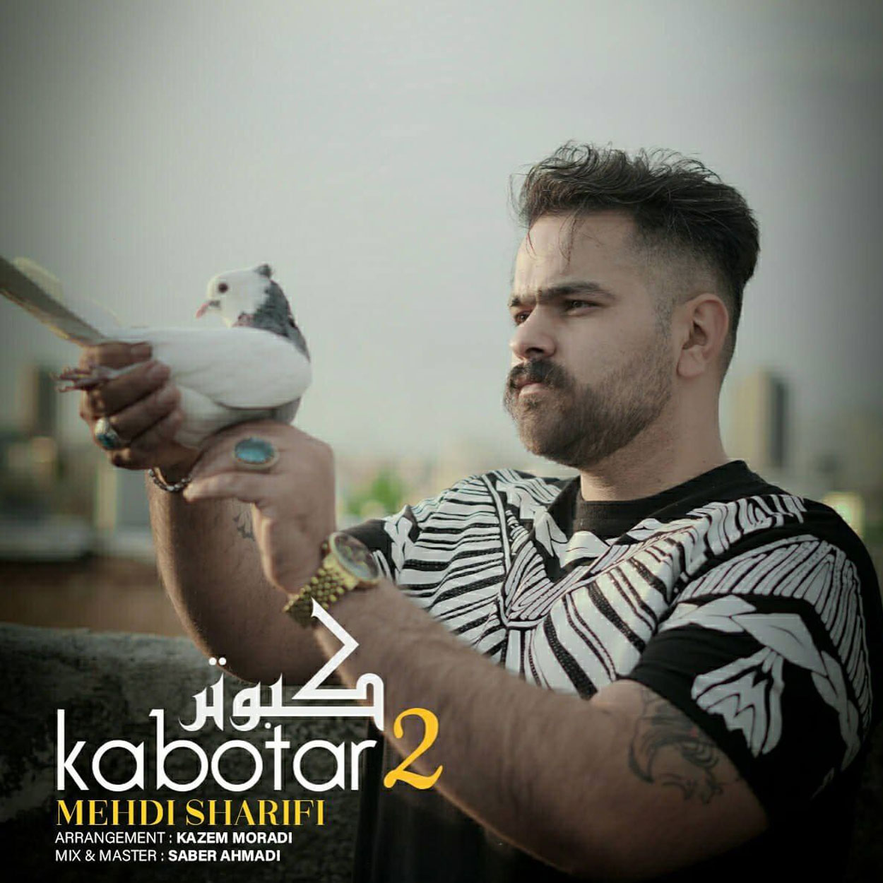 دانلود آهنگ مهدی شریفی کبوتر 2