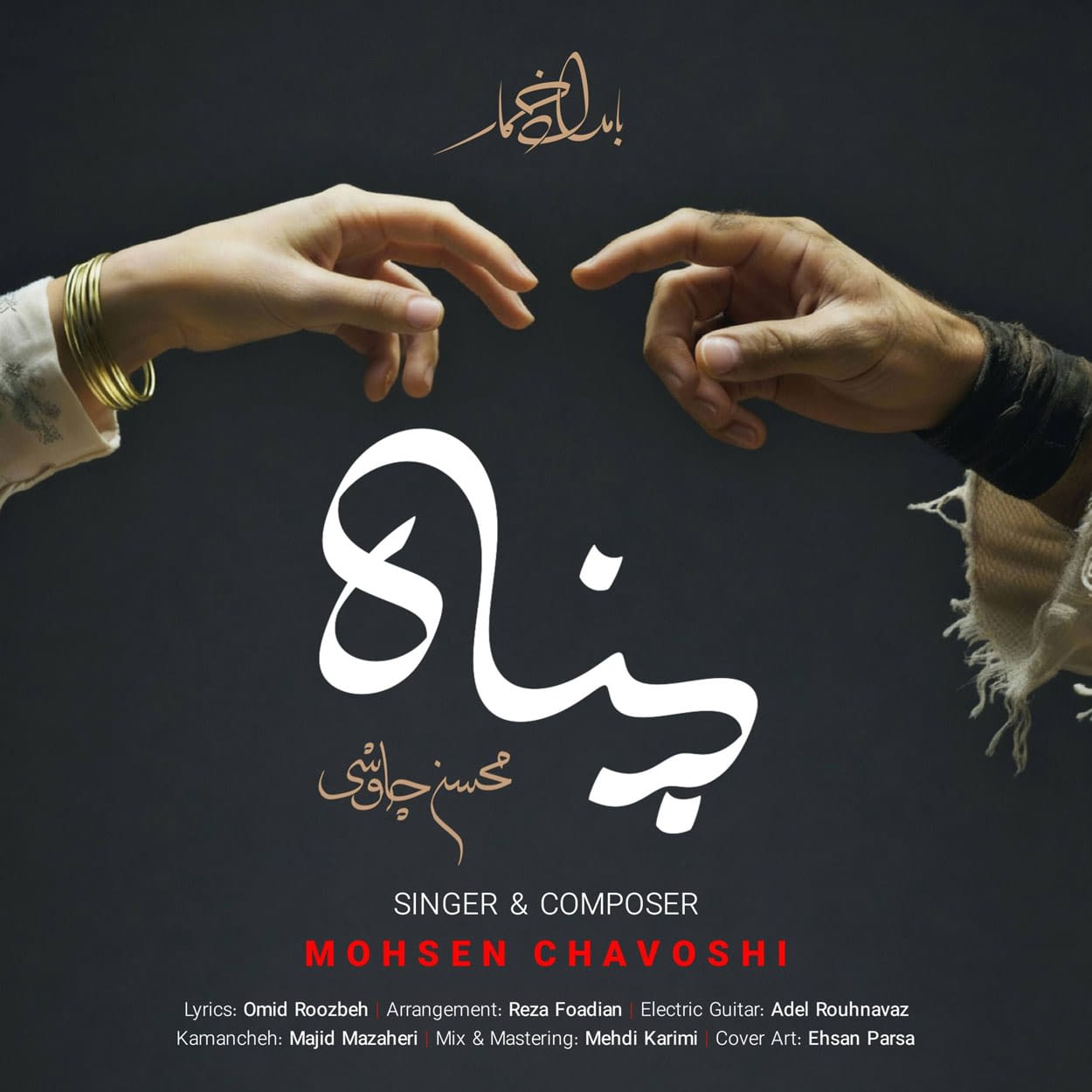 دانلود آهنگ محسن چاوشی پناه