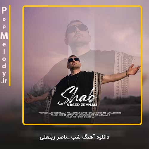 دانلود آهنگ ناصر زینعلی شب
