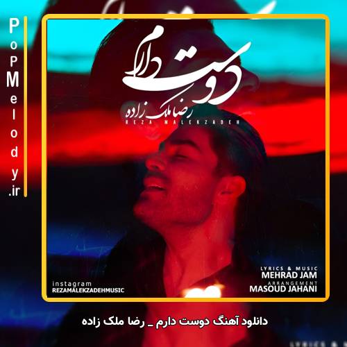 دانلود آهنگ رضا ملک زاده دوست دارم
