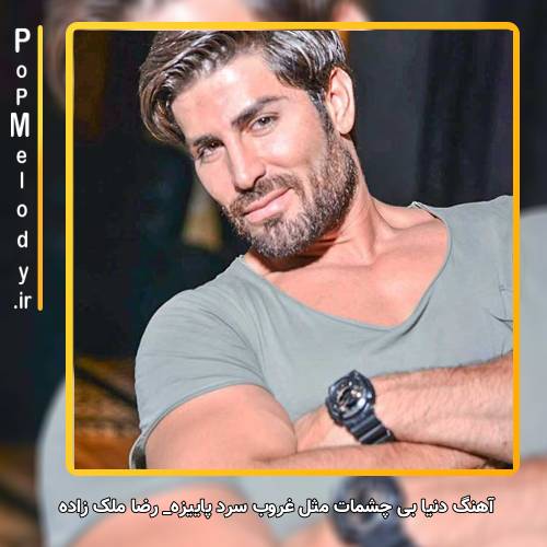 دانلود آهنگ رضا ملک زاده دنیا بی چشمات مثل غروب سرد پاییزه