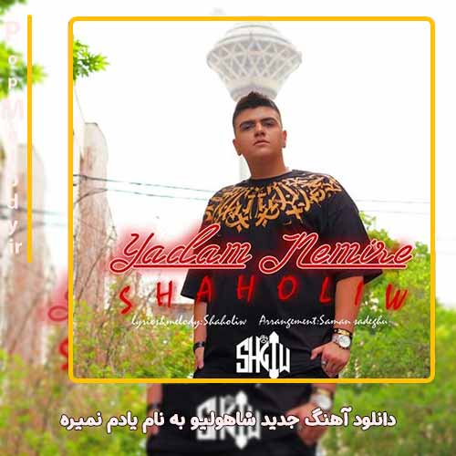 دانلود آهنگ شاهولیو یادم نمیره