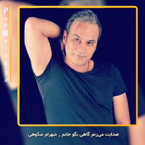 دانلود آهنگ شهرام شکوهی صدایت میزنم گاهی بگو جانم