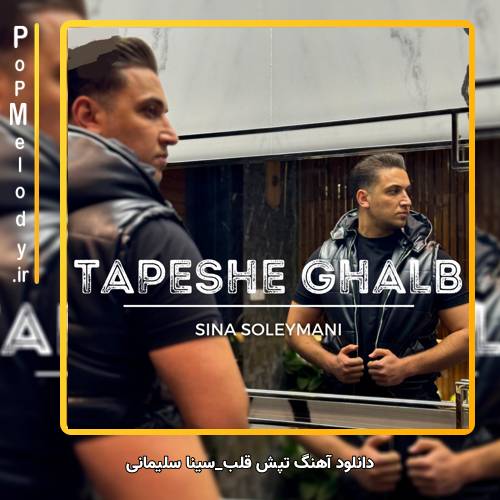 دانلود آهنگ سینا سلیمانی تپش قلب