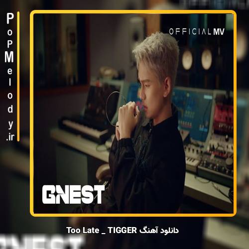 دانلود آهنگ TIGGER Too Late