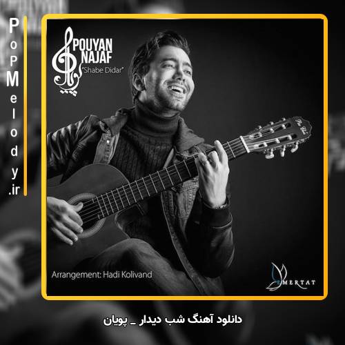دانلود آهنگ پویان شب دیدار