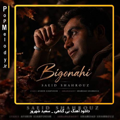 دانلود آهنگ سعید شهروز بی گناهی